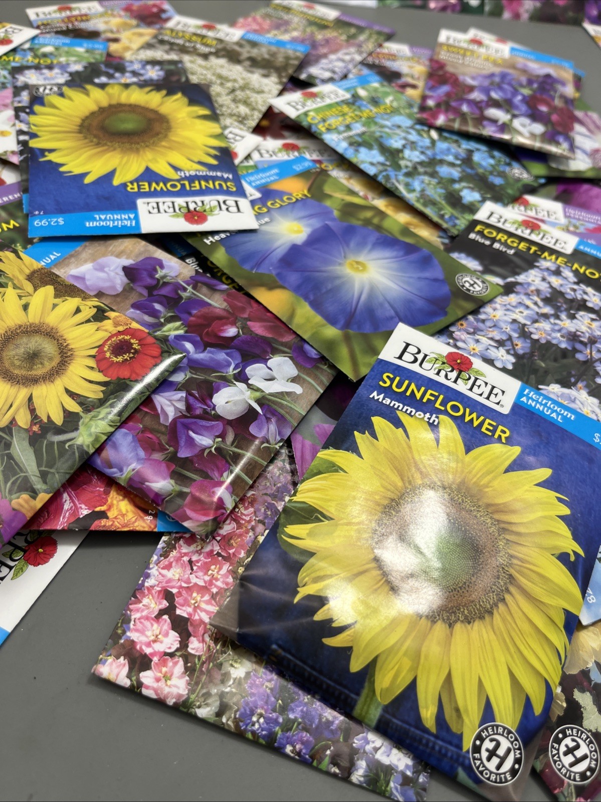 Flowers annual perennial Plant Seeds (Assorted Lot of 100) sell by 11/26 Garden