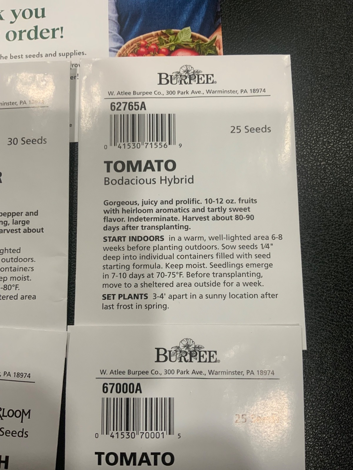 Burpee Brand Vegetable Seeds – mixed variety – sharing my extras see description
