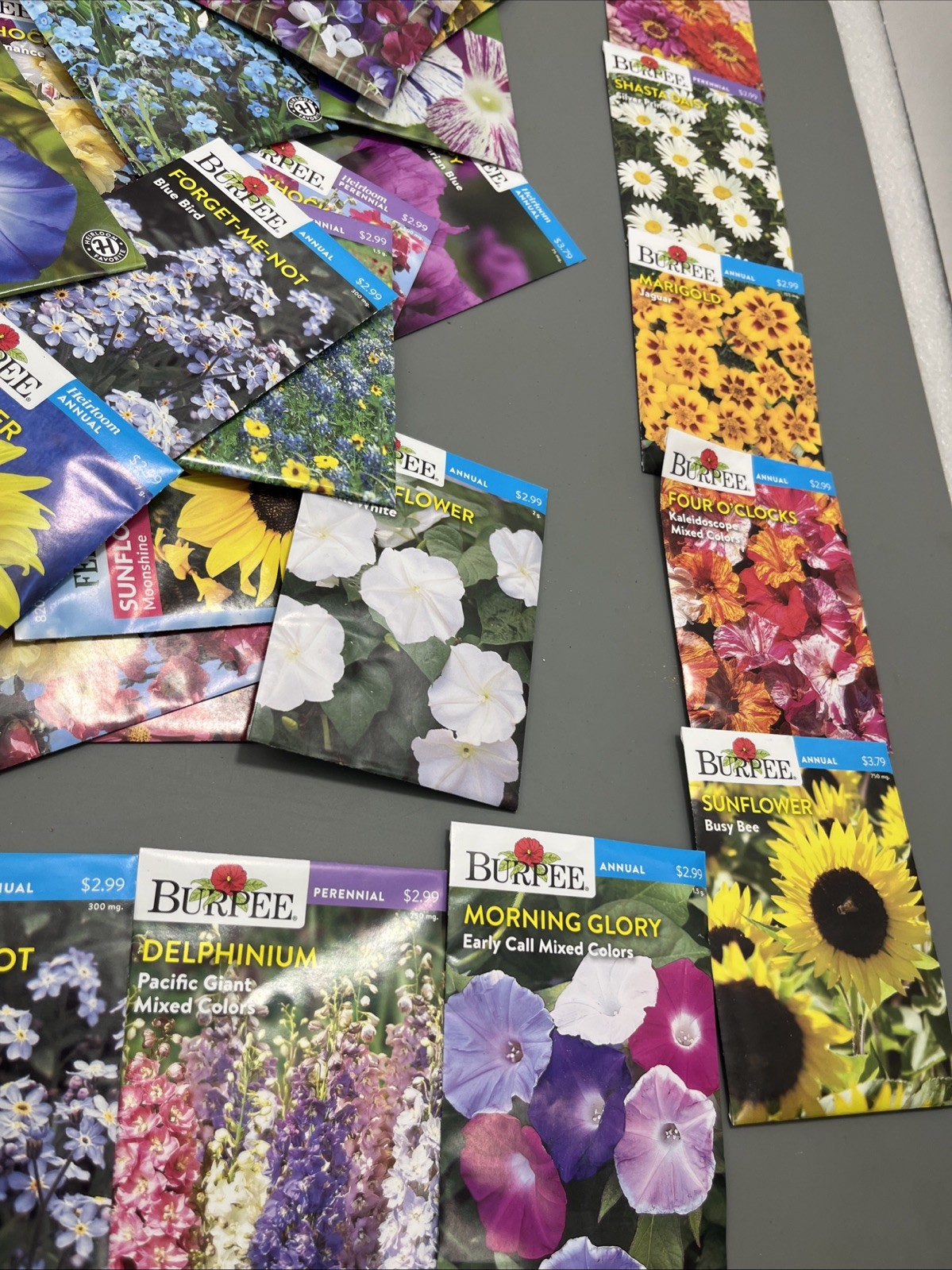 Flowers annual perennial Plant Seeds (Assorted Lot of 100) sell by 11/26 Garden