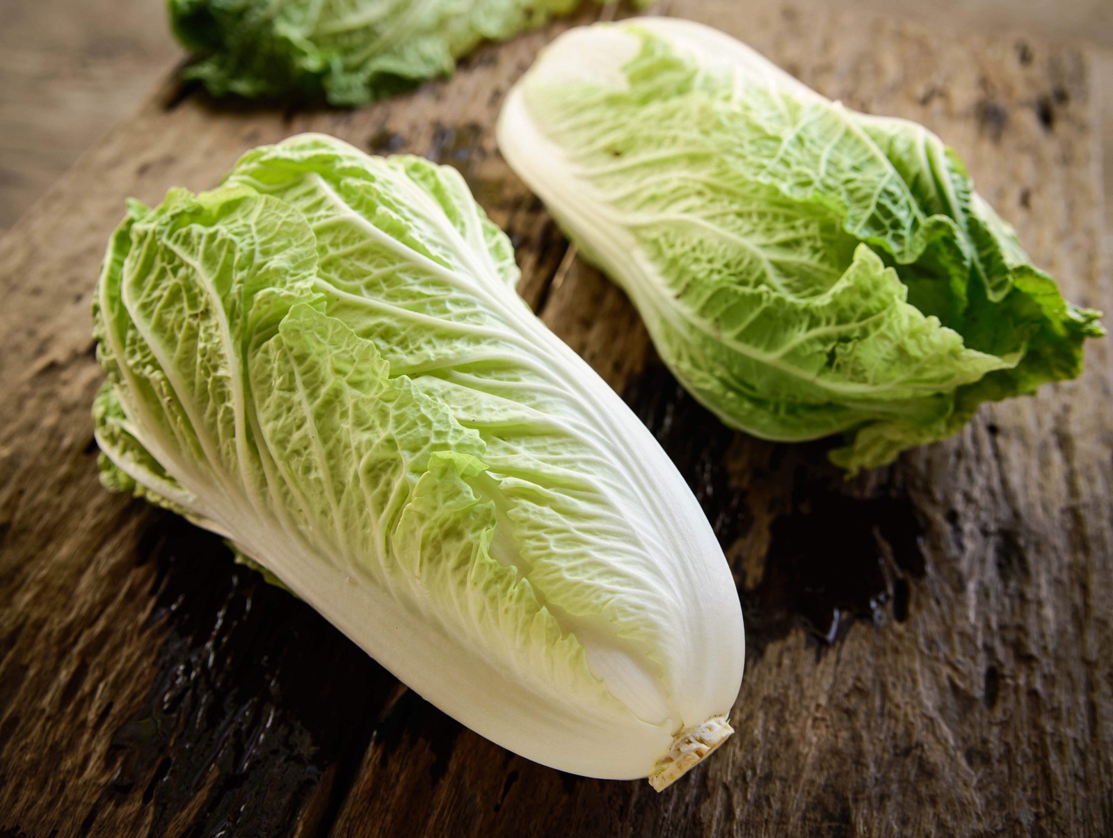 500 MICHIHILI CABBAGE Chinese Chard / Bok Choy / Pak Choi / Celery Mustard Seeds