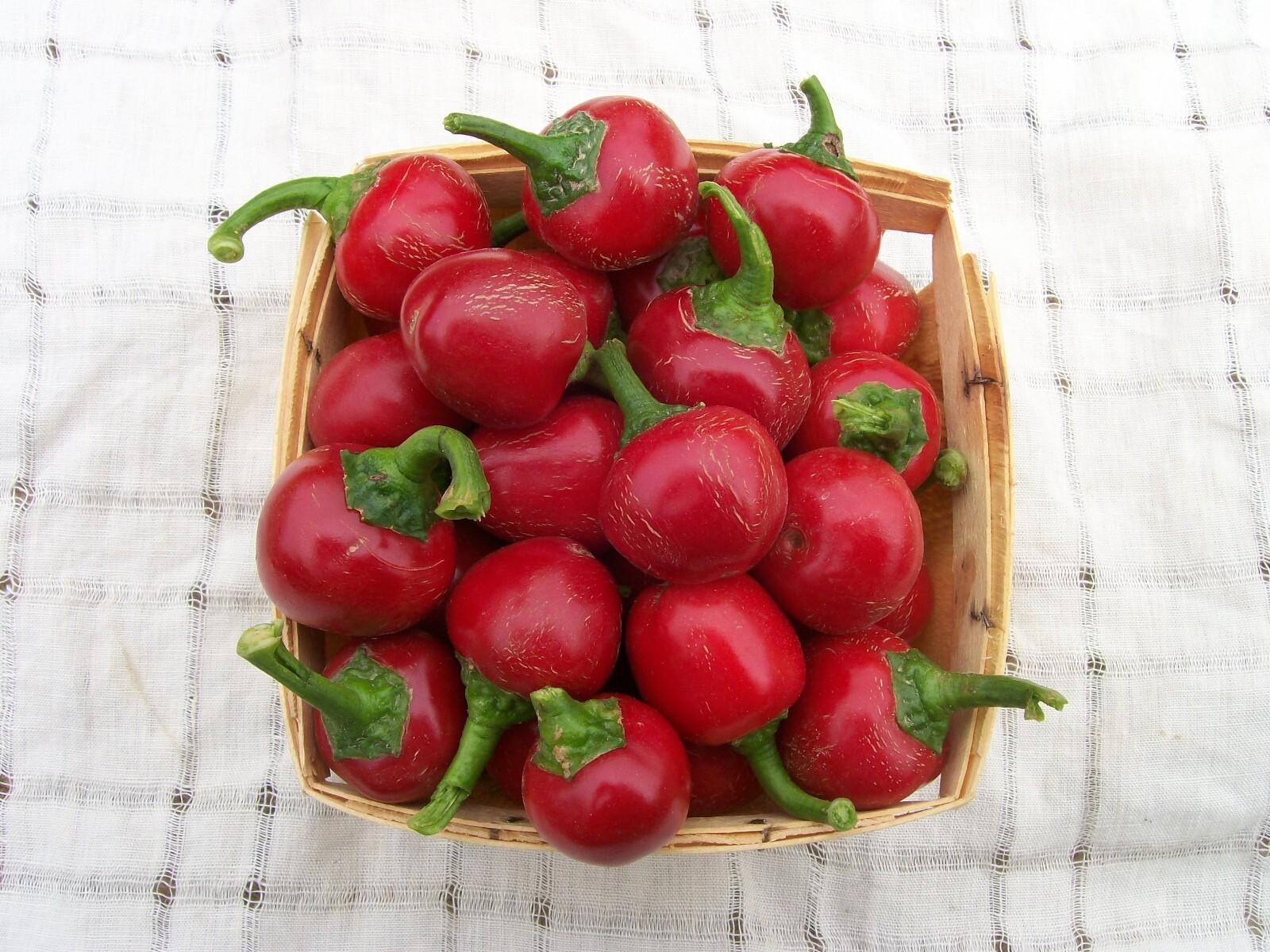 10+ Red Cherry Hot Pepper Seeds – Pimenta — NON-GMO — Heirloom – Organic